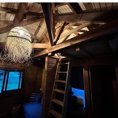 La Kaz A Pepes, Charmant Logement Avec Piscine Lamentin 외부 사진
